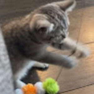 Meet your Posher, Ei